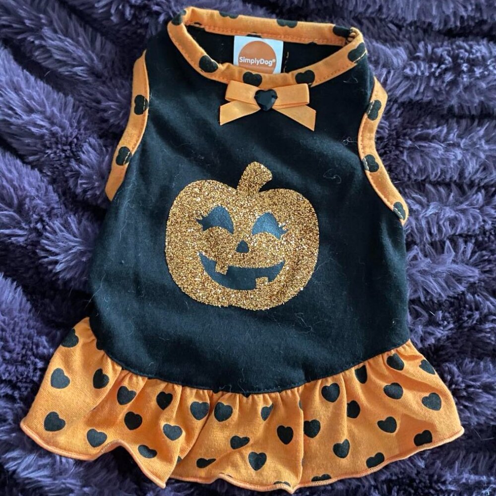 Small Dog Halloween Costume Pumpkin Dress, XS